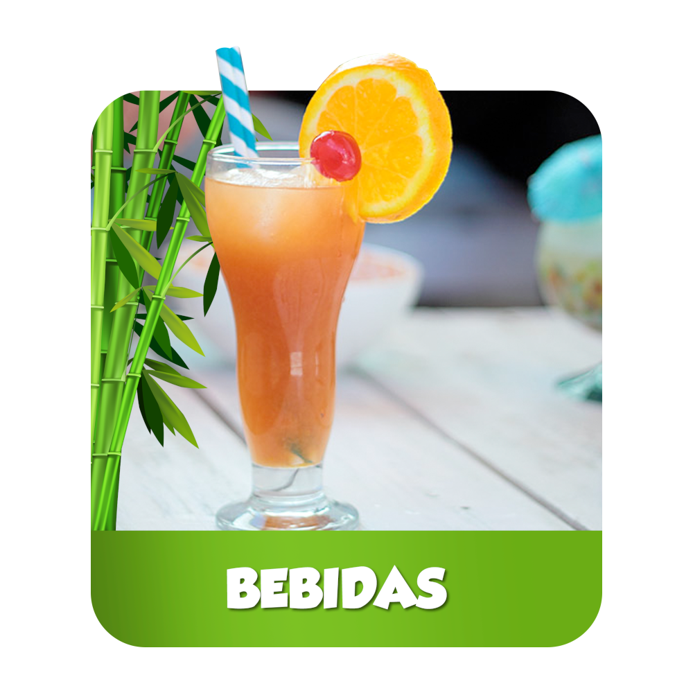 bebida